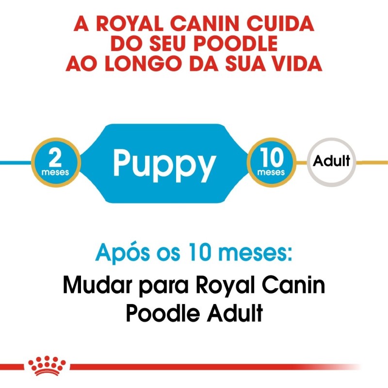 Royal Canin Poodle/Caniche Puppy - Ração seca para cachorro de raça