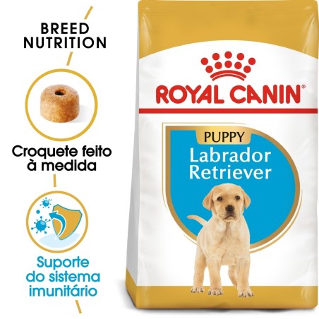 Royal Canin Labrador Retriever Puppy - Ração seca para cachorro de raça