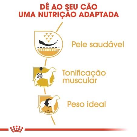 Royal Canin Pug Adult - Ração seca para cão de raça