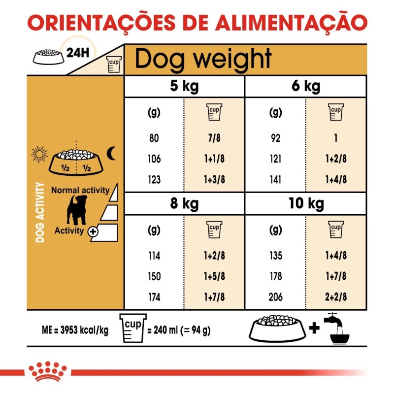 Royal Canin Jack Russel Terrier Adult - Ração seca para cão de raça