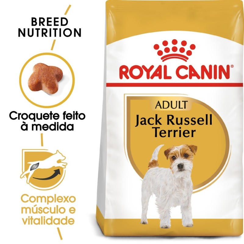 Royal Canin Jack Russel Terrier Adult - Ração seca para cão de raça