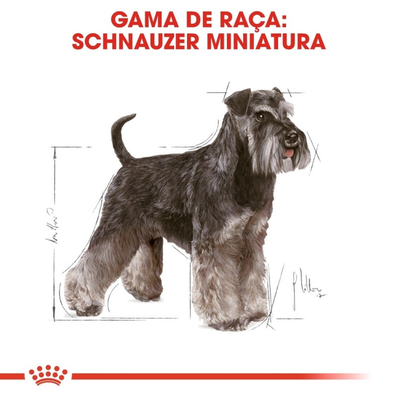 Royal Canin Schnauzer Miniatura Adult - Ração seca para cão de raça