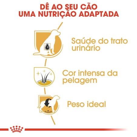 Royal Canin Schnauzer Miniatura Adult - Ração seca para cão de raça