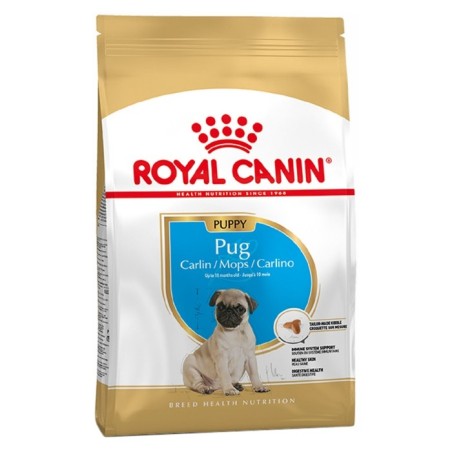 Royal Canin Pug Puppy - Ração seca para cachorro de raça