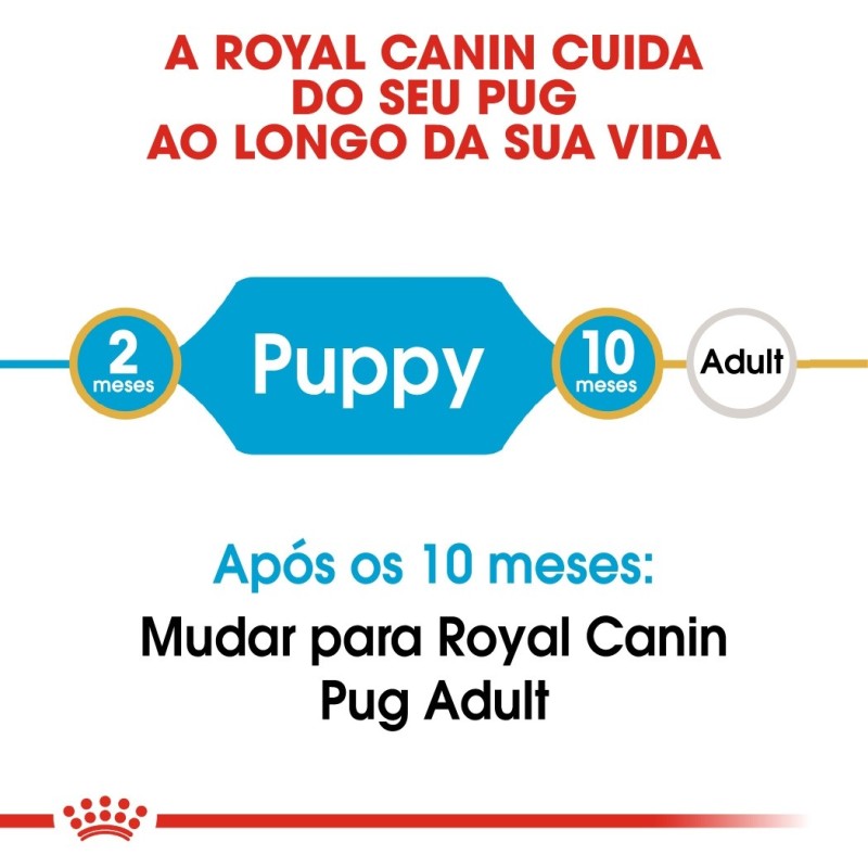 Royal Canin Pug Puppy - Ração seca para cachorro de raça