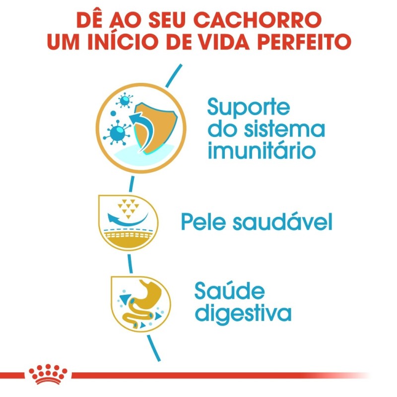 Royal Canin Pug Puppy - Ração seca para cachorro de raça