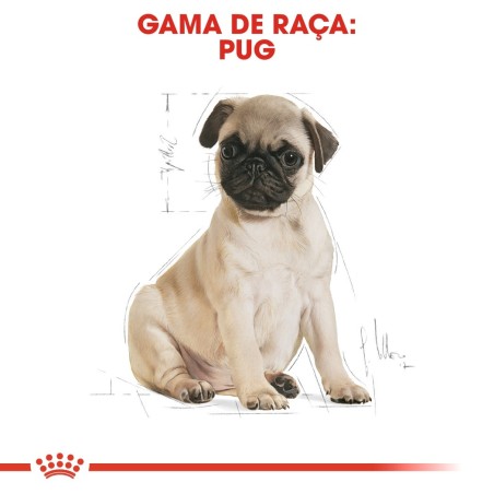 Royal Canin Pug Puppy - Ração seca para cachorro de raça