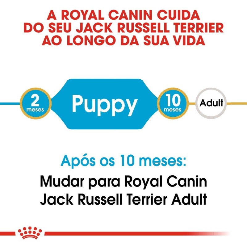 Royal Canin Jack Russel Terrier Puppy - Ração seca para cachorro de raça