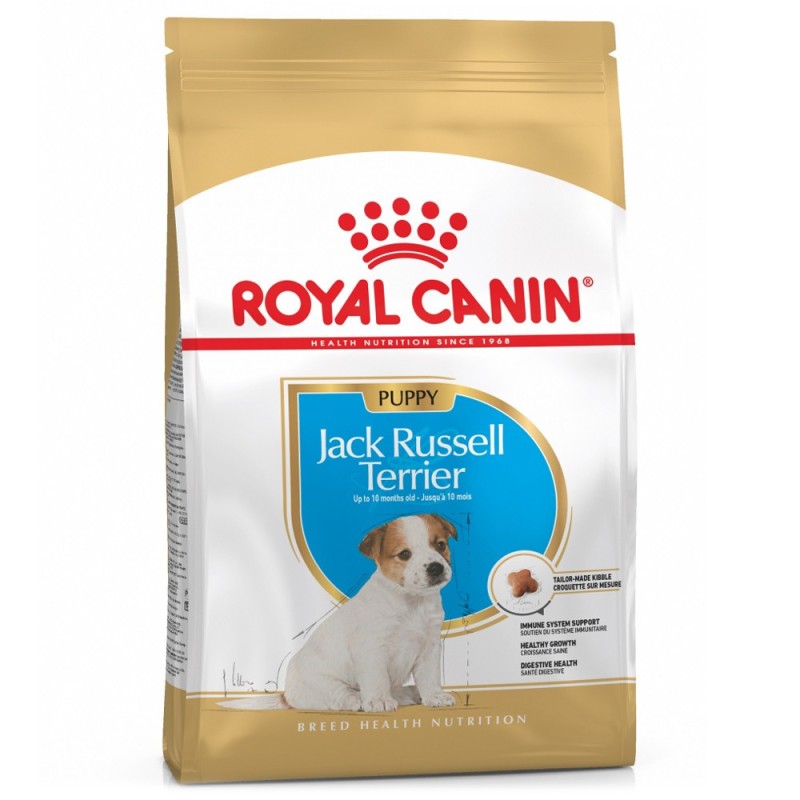 Royal Canin Jack Russel Terrier Puppy - Ração seca para cachorro de raça