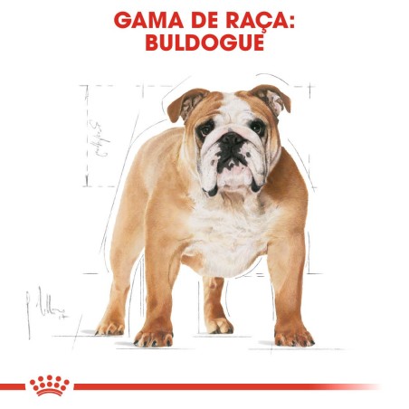 Royal Canin Bulldog Adult - Ração para cão adulto de raça