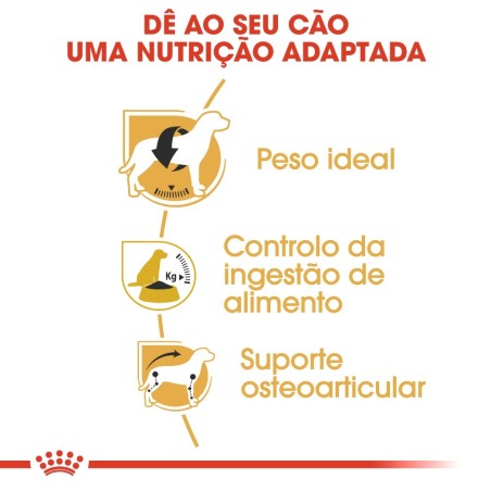 Royal Canin Beagle Adult - Ração seca para cão de raça