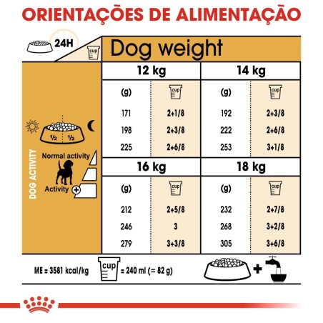 Royal Canin Beagle Adult - Ração seca para cão de raça