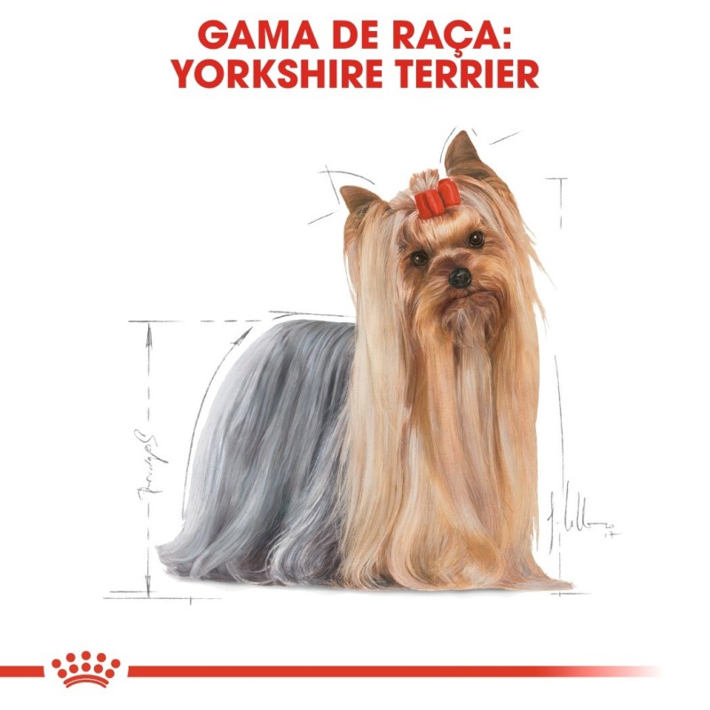 Royal Canin Yorkshire Terrier Adult - Alimento em patê para cão de raça