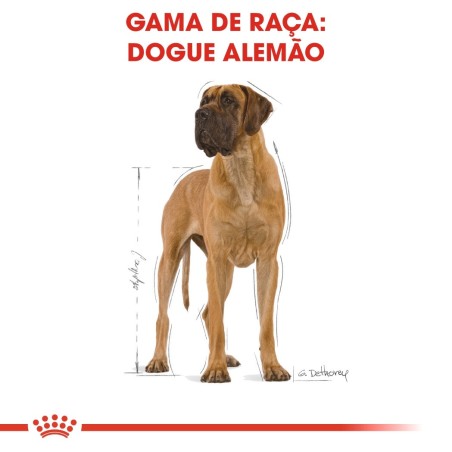 Royal Canin Dogue Alemão Adult - Ração seca para cão de raça