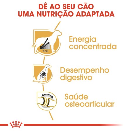 Royal Canin Dogue Alemão Adult - Ração seca para cão de raça