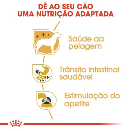 Royal Canin Chihuahua Adult - Alimento em patê para cão de raça