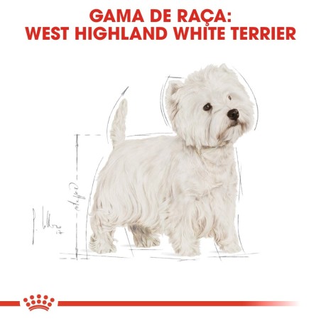 Royal Canin West Highland White Terrier Adult - Ração seca para cão de raça