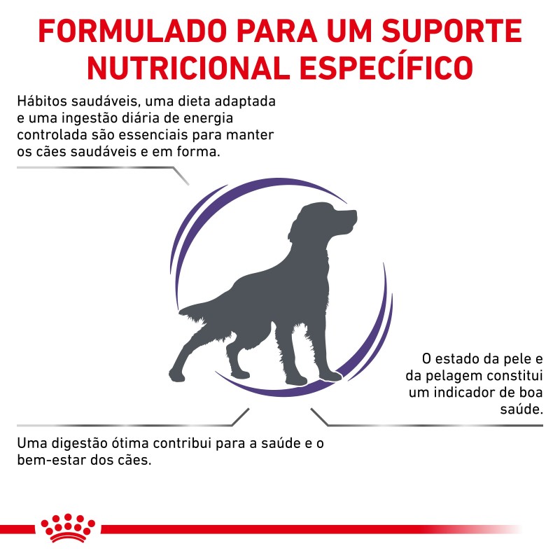 Royal Canin VET Adult Medium Dogs - Ração seca para cão médio