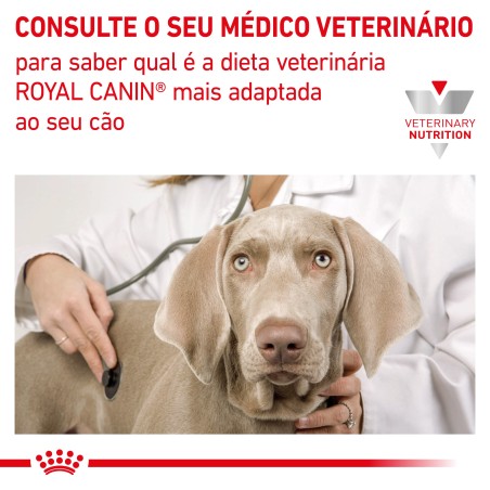 Royal Canin VET Adult Medium Dogs - Ração seca para cão médio