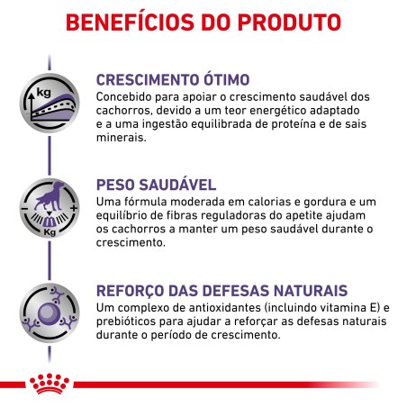 Royal Canin VET Neutered Junior - Ração seca para cachorro médio esterilizado