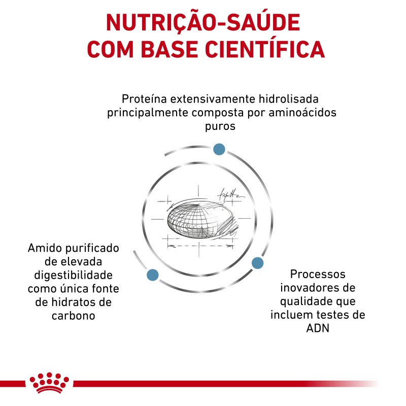 Royal Canin VET Anallergenic - Ração seca para cão adulto com sensibilidade alimentar