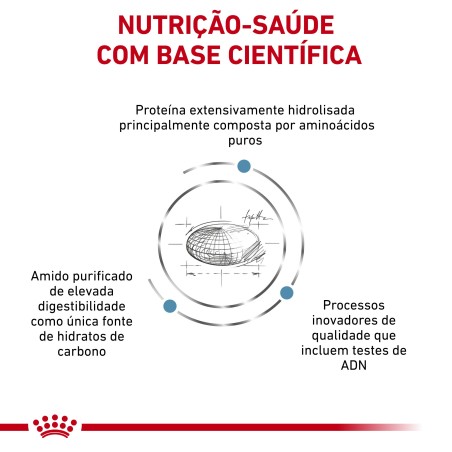 Royal Canin VET Anallergenic - Ração seca para cão adulto com sensibilidade alimentar