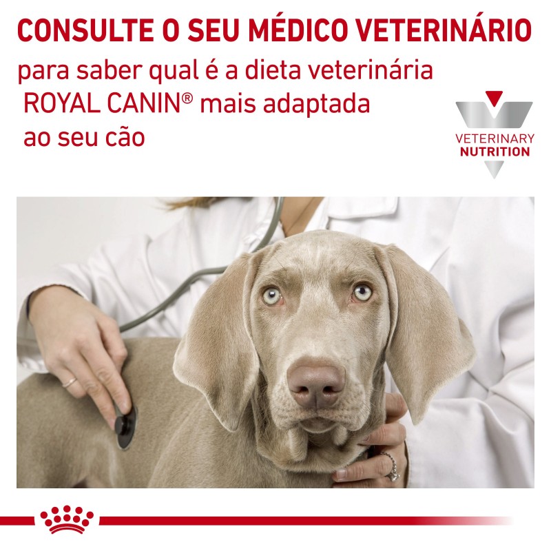 Royal Canin VET Anallergenic - Ração seca para cão adulto com sensibilidade alimentar