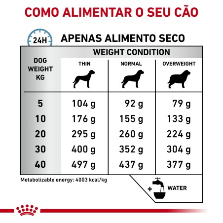 Royal Canin VET Anallergenic - Ração seca para cão adulto com sensibilidade alimentar