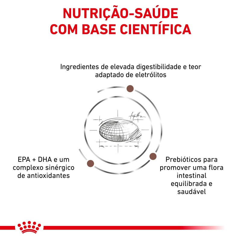 Royal Canin VET Gastrointestinal - Ração seca para cão adulto com problemas digestivos