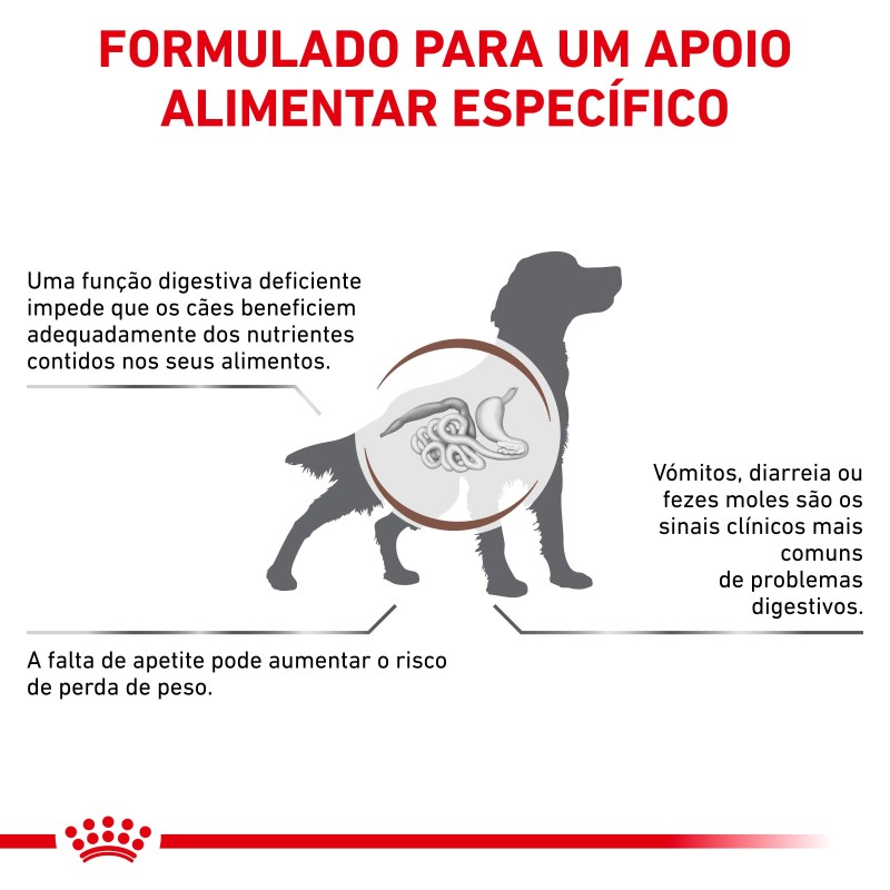 Royal Canin VET Gastrointestinal - Ração seca para cão adulto com problemas digestivos