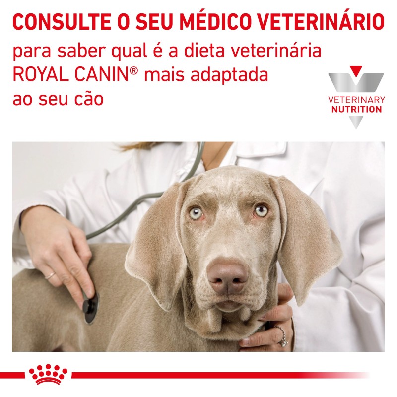 Royal Canin VET Gastrointestinal - Ração seca para cão adulto com problemas digestivos