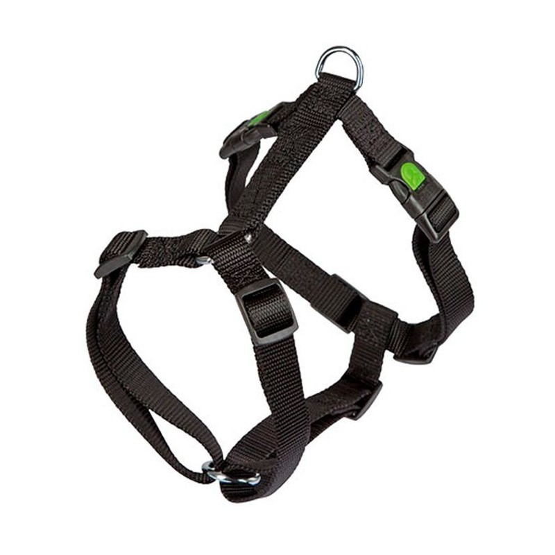 Harness Miami