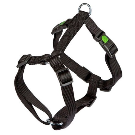 Harness Miami