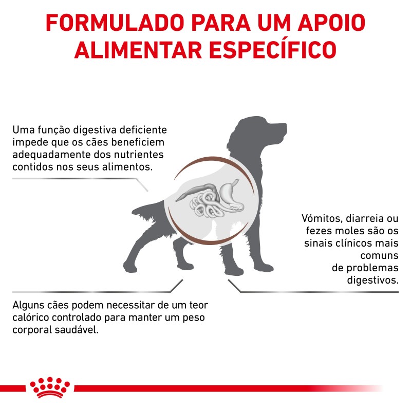 Royal Canin VET Gastrointestinal Moderate Calorie - Ração seca para cão adulto com problemas digestivos