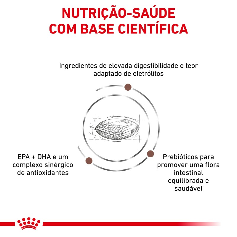 Royal Canin VET Gastrointestinal Low Fat - Ração seca para cão adulto com problemas digestivos