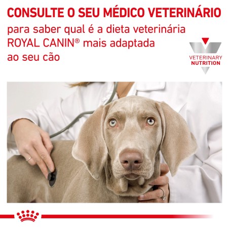 Royal Canin VET Gastrointestinal Low Fat - Ração seca para cão adulto com problemas digestivos