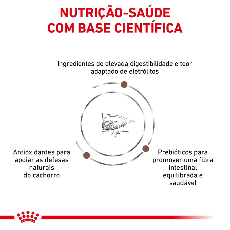 Royal Canin VET Gastrointestinal Puppy - Ração seca para cachorro com problemas digestivos