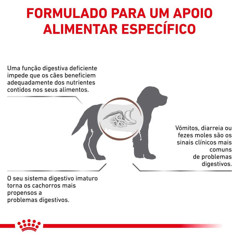 Royal Canin VET Gastrointestinal Puppy - Ração seca para cachorro com problemas digestivos