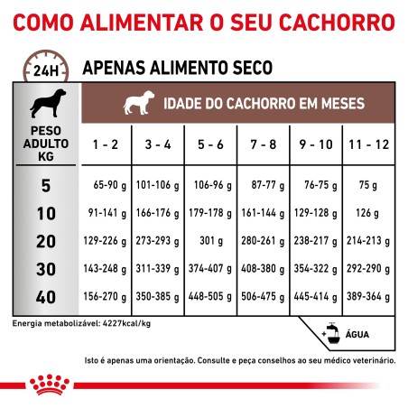 Royal Canin VET Gastrointestinal Puppy - Ração seca para cachorro com problemas digestivos