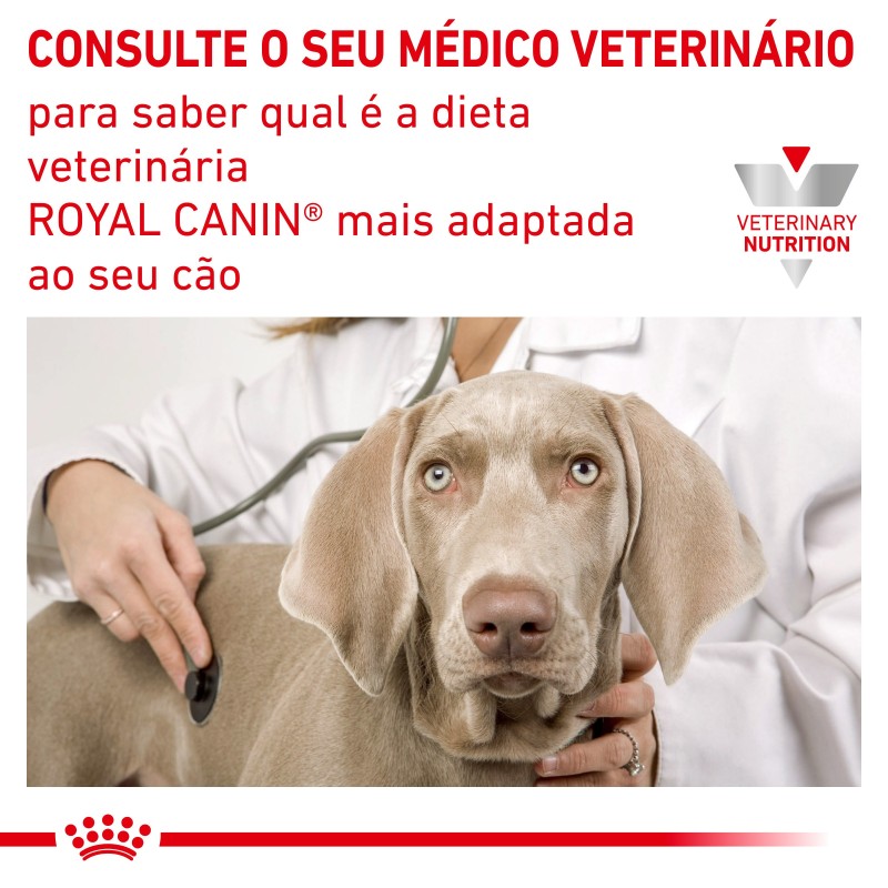 Royal Canin VET Urinary S/O Small Dogs - Ração seca para cão adulto pequeno com problemas urinários