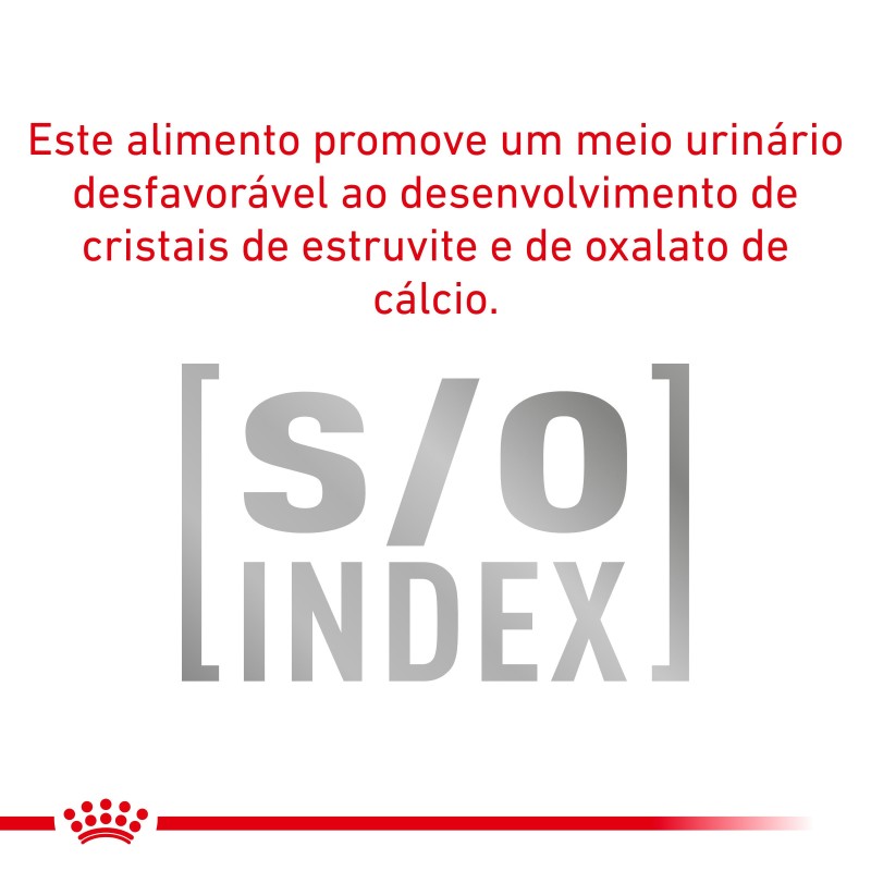 Royal Canin VET Urinary S/O Small Dogs - Ração seca para cão adulto pequeno com problemas urinários