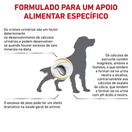 Royal Canin VET Urinary S/O Moderate Calorie - Ração seca para cão adulto com problemas urinários