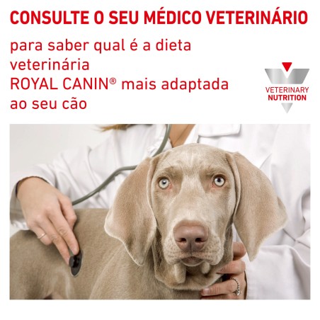 Royal Canin VET Urinary S/O Moderate Calorie - Ração seca para cão adulto com problemas urinários