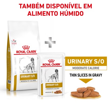 Royal Canin VET Urinary S/O Moderate Calorie - Ração seca para cão adulto com problemas urinários