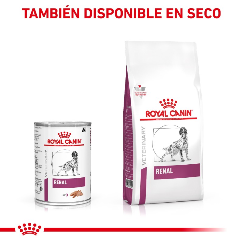 Royal Canin VET Renal Special - Ração seca para cão adulto com doença renal