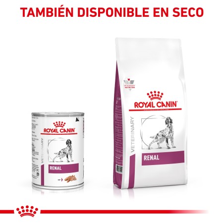 Royal Canin VET Renal Special - Ração seca para cão adulto com doença renal