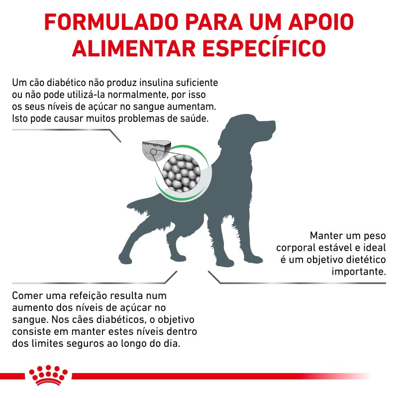 Royal Canin VET Diabetic - Ração seca para cão adulto com diabetes