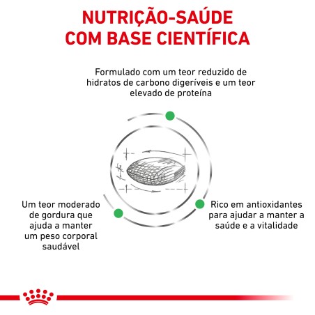 Royal Canin VET Diabetic - Ração seca para cão adulto com diabetes