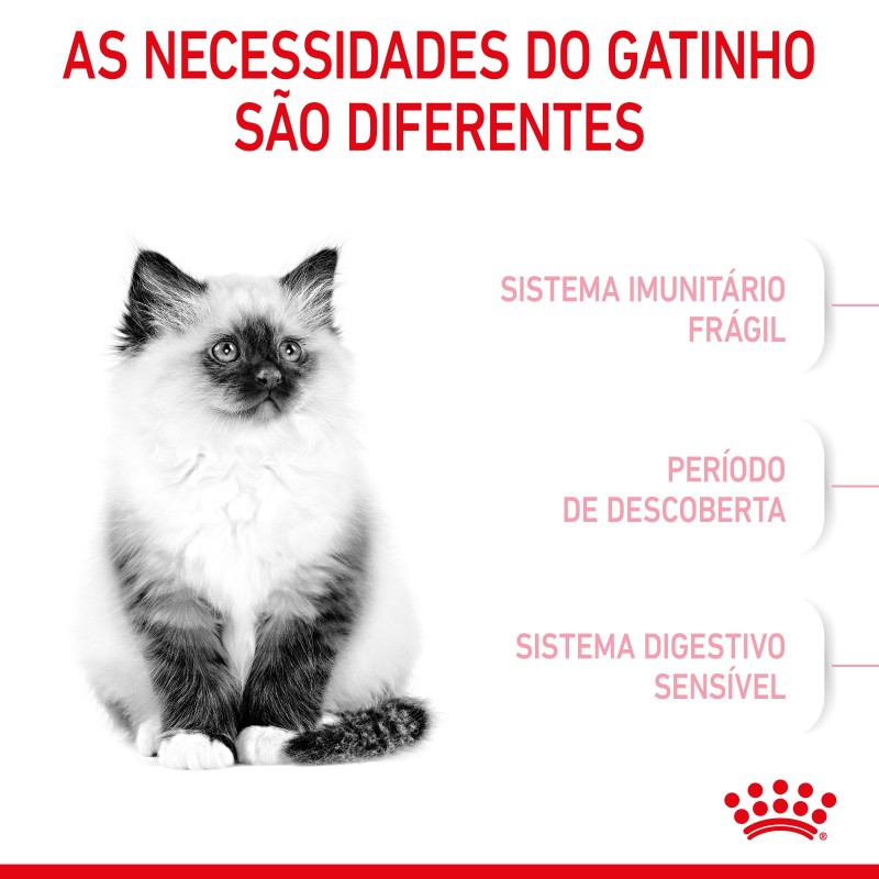 Royal Canin Kitten - Ração seca para gatinhos