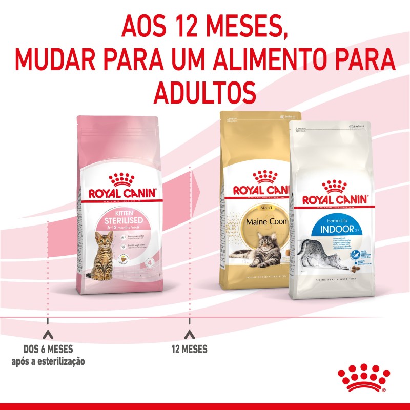 Royal Canin Kitten Sterilised - Ração seca para gatinho esterilizado